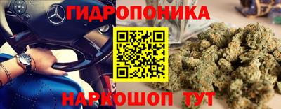 ПСИЛОЦИБИНОВЫЕ ГРИБЫ Котовск