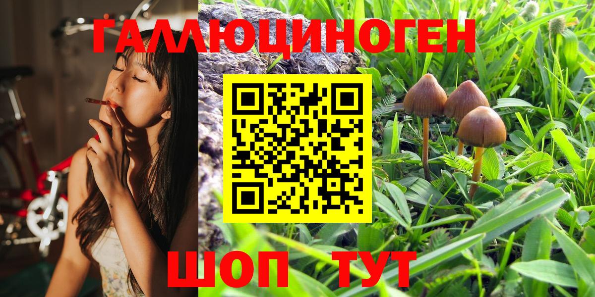 Псилоцибиновые грибы Psilocybe Советский