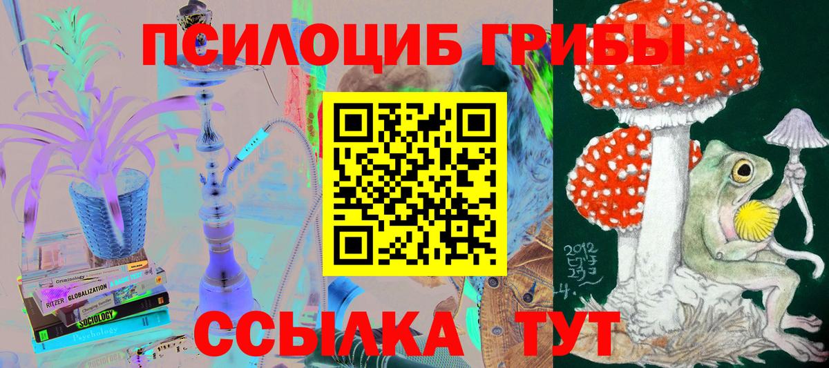 Советский  Галлюциногенные грибы Psilocybe  Вход с VPN 
